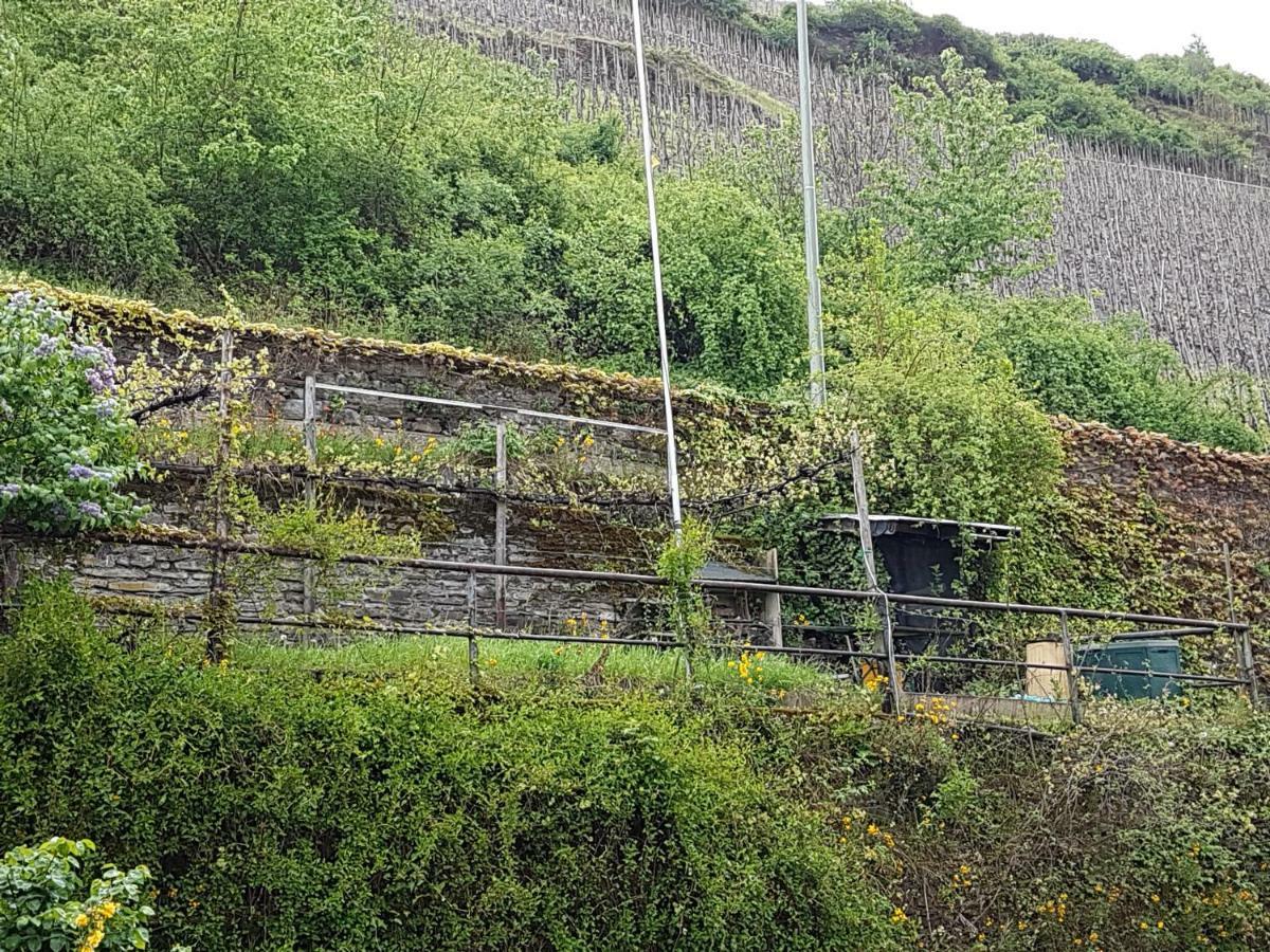 Haus Anna Villa Zell an der Mosel Exteriör bild